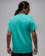 Футболка Jordan Jumpman Flight AO0664-392