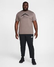 Футболка для бігу Nike Dri-FIT FQ3914-289