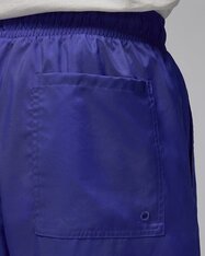 Шорты Jordan Poolside HF9371-543