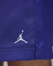 Шорты Jordan Poolside HF9371-543
