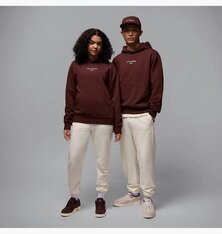 Реглан Air Jordan Wordmark HJ3450-227