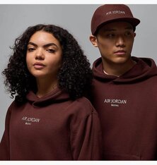 Реглан Air Jordan Wordmark HJ3450-227