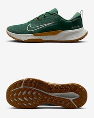 Кросівки бігові Nike Juniper Trail 2 GORE-TEX HM9734-301