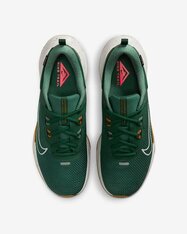 Кросівки бігові Nike Juniper Trail 2 GORE-TEX HM9734-301