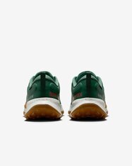 Кросівки бігові Nike Juniper Trail 2 GORE-TEX HM9734-301