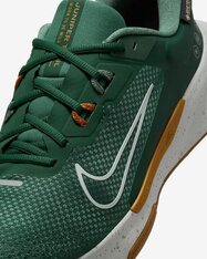 Кросівки бігові Nike Juniper Trail 2 GORE-TEX HM9734-301