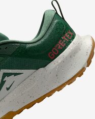 Кросівки бігові Nike Juniper Trail 2 GORE-TEX HM9734-301