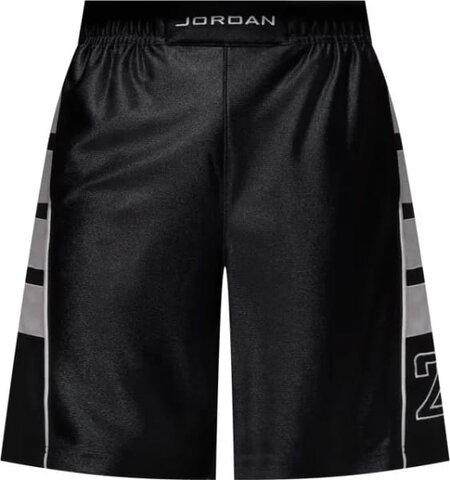 Шорты Jordan Brooklyn Cat Scratch HV0560-011