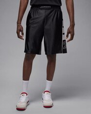 Шорты Jordan Brooklyn Cat Scratch HV0560-011