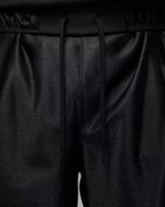 Шорты Jordan Brooklyn Cat Scratch HV0560-011