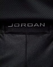 Шорты Jordan Brooklyn Cat Scratch HV0560-011