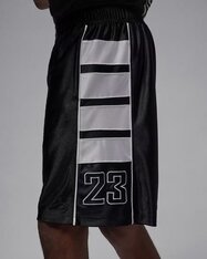 Шорты Jordan Brooklyn Cat Scratch HV0560-011