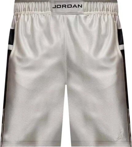 Шорты Jordan Brooklyn Cat Scratch HV0560-133