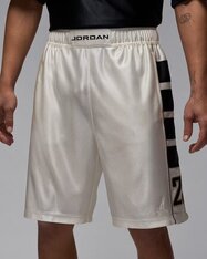 Шорты Jordan Brooklyn Cat Scratch HV0560-133