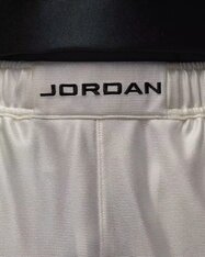 Шорты Jordan Brooklyn Cat Scratch HV0560-133