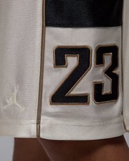 Шорты Jordan Brooklyn Cat Scratch HV0560-133