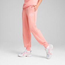 Спортивные штаны женские Puma CLASS Comfort 68503718