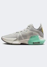 Кроссовки для баскетбола Nike LeBron Witness VII DM1123-006