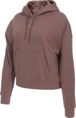 Реглан жіночий Air Jordan X Paris Saint-Germain Fleece DN3346-291