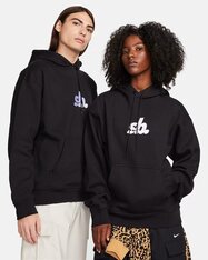 Реглан Nike SB FN2498-010