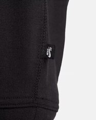 Реглан Nike SB FN2498-010