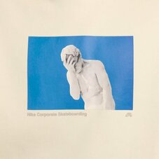 Реглан Nike SB FN2556-113