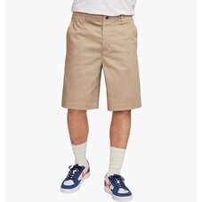 Шорти Nike SB FQ0500-247