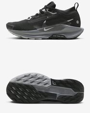 Кросівки бігові жіночі Nike Pegasus Trail 5 GORE-TEX FQ0912-001
