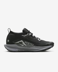 Кросівки бігові жіночі Nike Pegasus Trail 5 GORE-TEX FQ0912-001