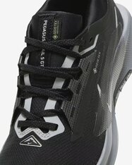 Кросівки бігові жіночі Nike Pegasus Trail 5 GORE-TEX FQ0912-001