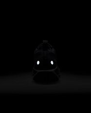 Кросівки бігові жіночі Nike Pegasus Trail 5 GORE-TEX FQ0912-001