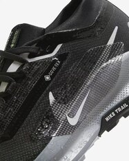 Кросівки бігові жіночі Nike Pegasus Trail 5 GORE-TEX FQ0912-001