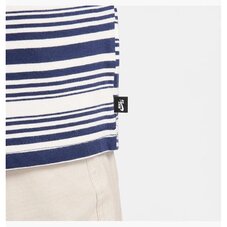 Футболка Nike SB FQ3711-410