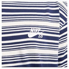 Футболка Nike SB FQ3711-410