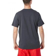 Футболка Nike Sportswear FQ3796-070