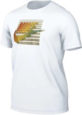 Футболка Nike Sportswear FQ7995-100