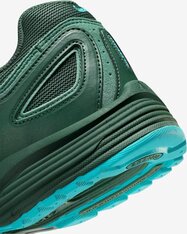 Кроссовки Nike Air Pegasus 2005 FZ7354-300