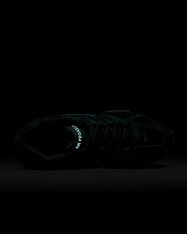 Кроссовки Nike Air Pegasus 2005 FZ7354-300