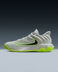 Кросівки для баскетболу Nike Giannis Immortality 4 FQ3680-007