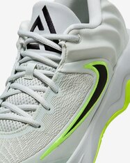 Кросівки для баскетболу Nike Giannis Immortality 4 FQ3680-007