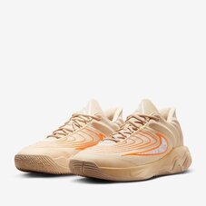 Кросівки для баскетболу Nike Giannis Immortality 4 FQ3680-200