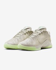 Кросівки для баскетболу Nike LeBron XXII FZ1094-002