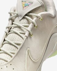 Кросівки для баскетболу Nike LeBron XXII FZ1094-002