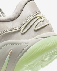 Кросівки для баскетболу Nike LeBron XXII FZ1094-002