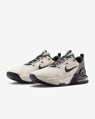 Кросівки бігові Nike Air Max Alpha Trainer 5 DM0829-013