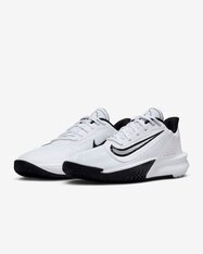 Кроссовки для баскетбола Nike Precision 7 FN4322-101