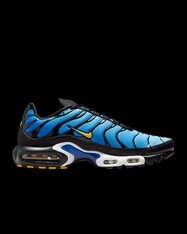 Кроссовки Nike Air Max Plus DX0755-001
