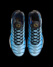 Кроссовки Nike Air Max Plus DX0755-001