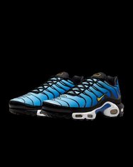 Кроссовки Nike Air Max Plus DX0755-001