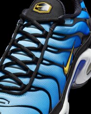 Кроссовки Nike Air Max Plus DX0755-001